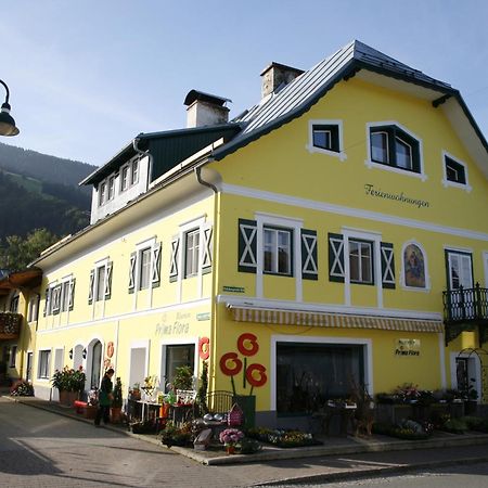 Ferienappartement Royer Schladming Exterior foto